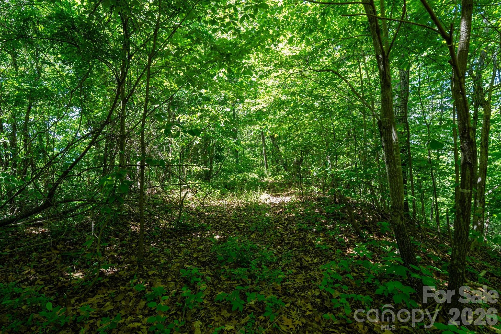 99999 Winding Ridge Road Property Photo 15