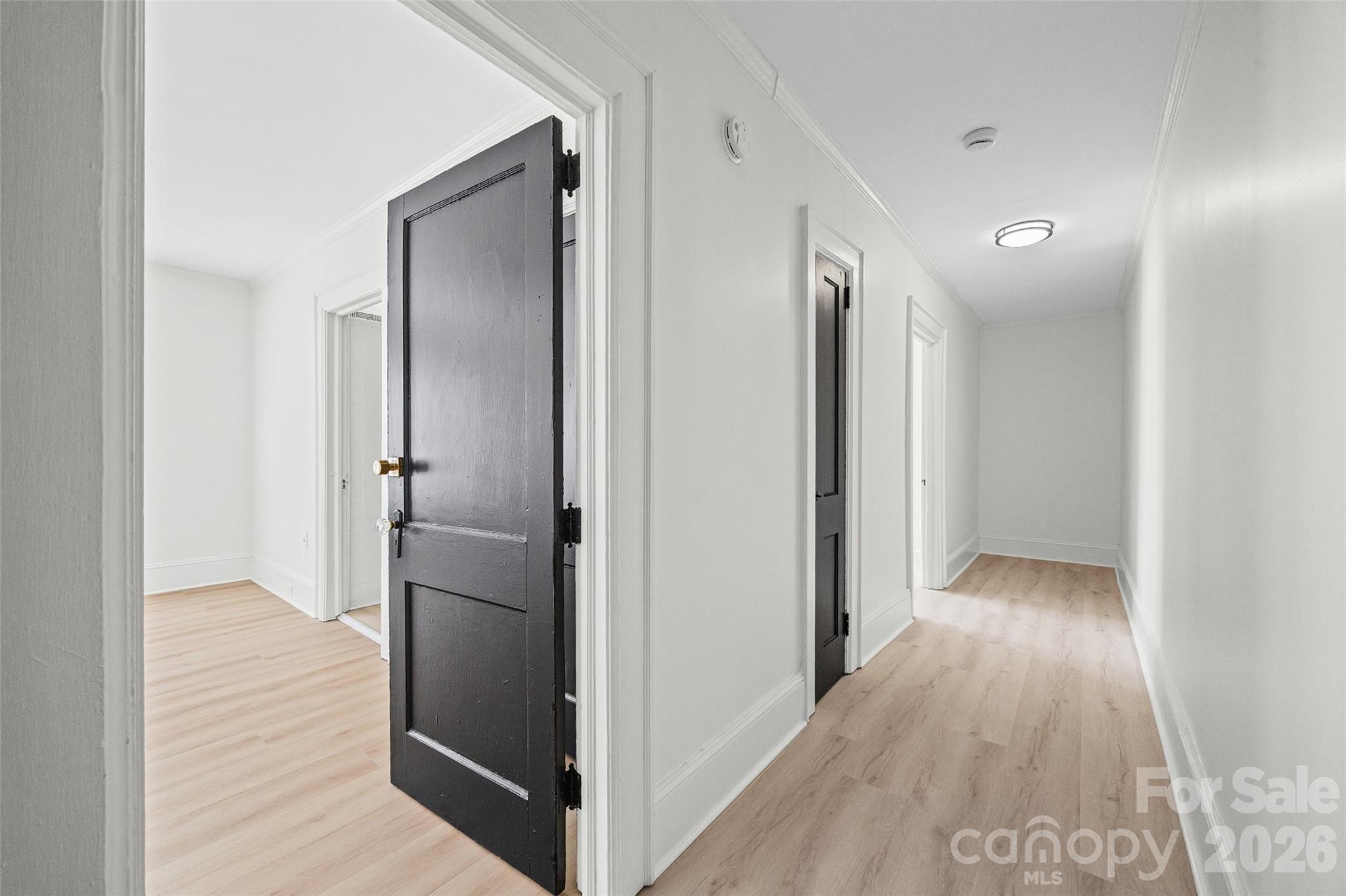 49 Corban Avenue Property Photo 13