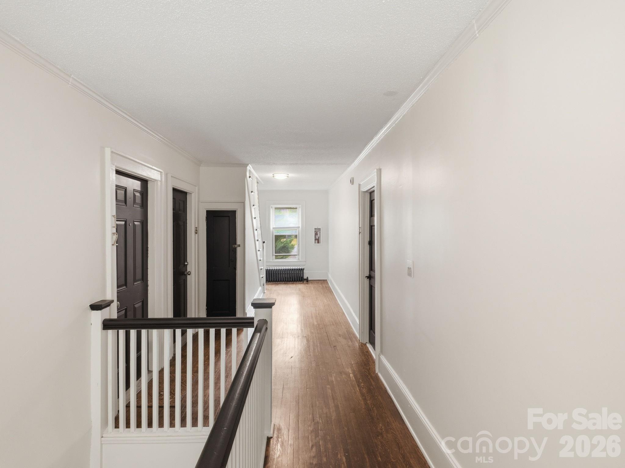 49 Corban Avenue Property Photo 14