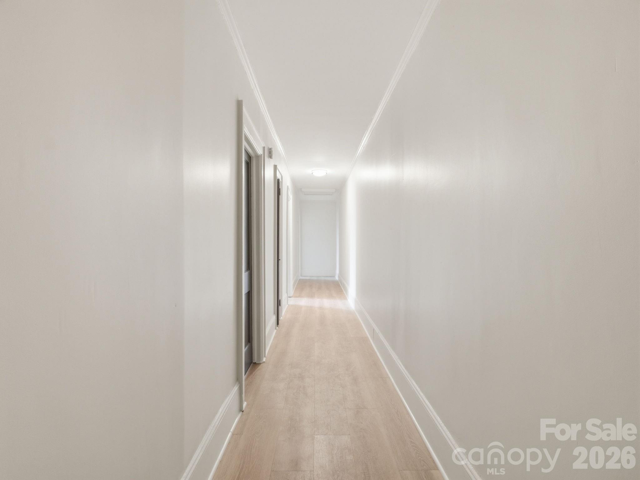 49 Corban Avenue Property Photo 16