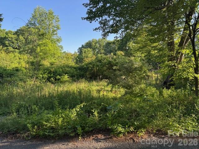 202 Dundee Street Property Photo 1