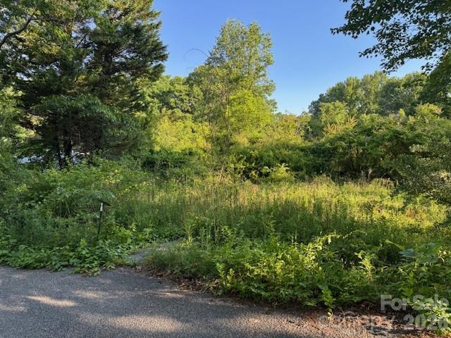 202 Dundee Street Property Photo 2