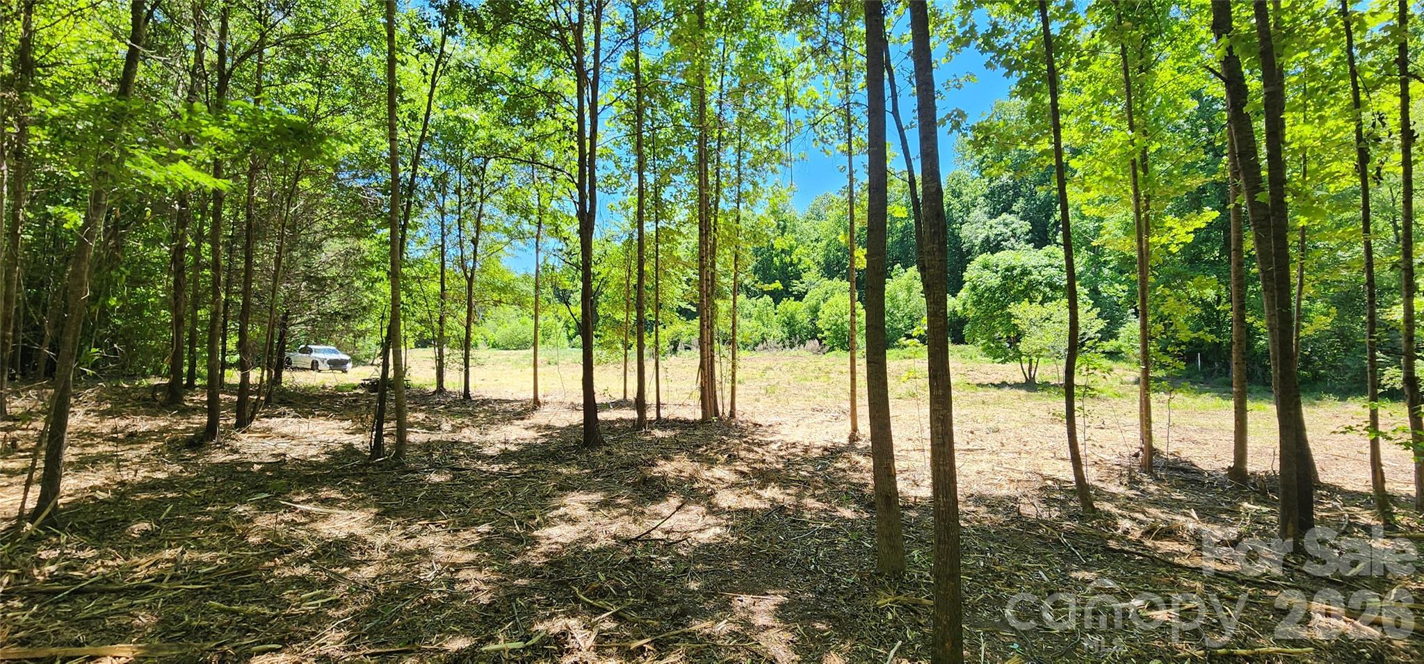 480 Brown Road Property Photo 17
