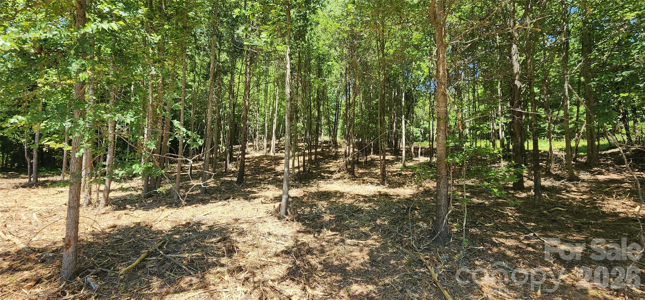 480 Brown Road Property Photo 22