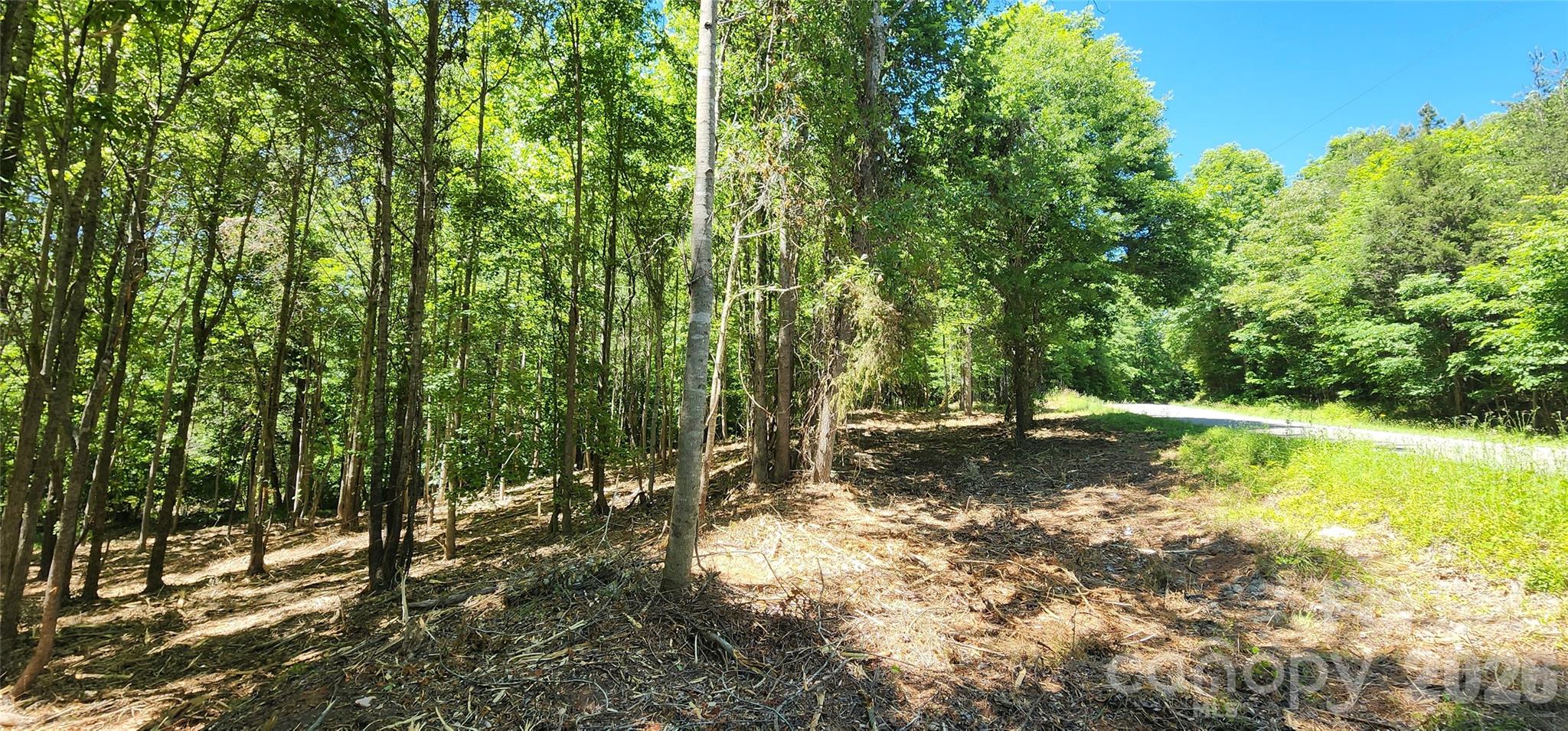 480 Brown Road Property Photo 31