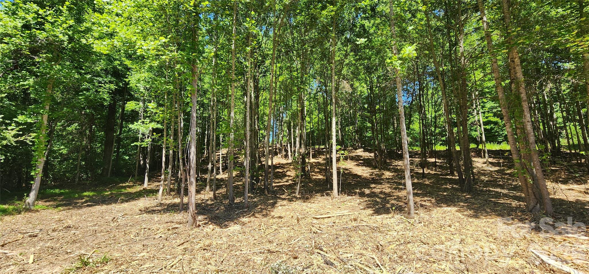 480 Brown Road Property Photo 33