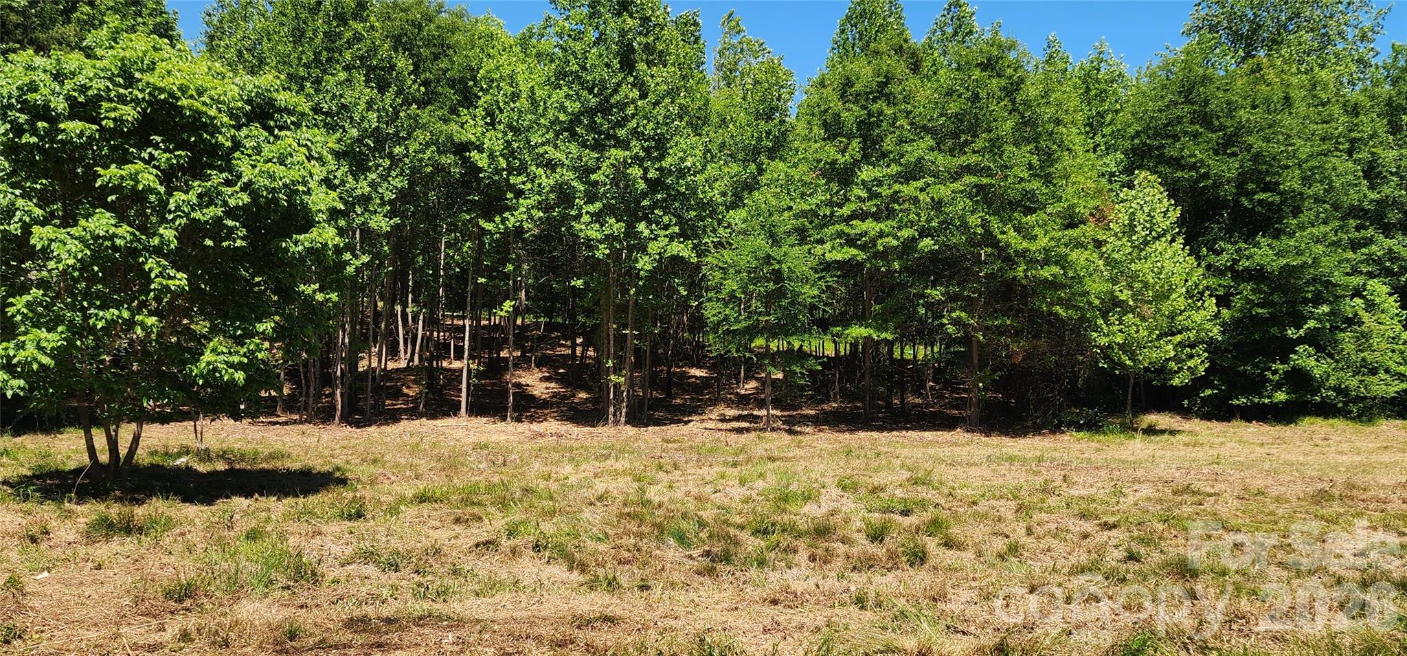480 Brown Road Property Photo 35