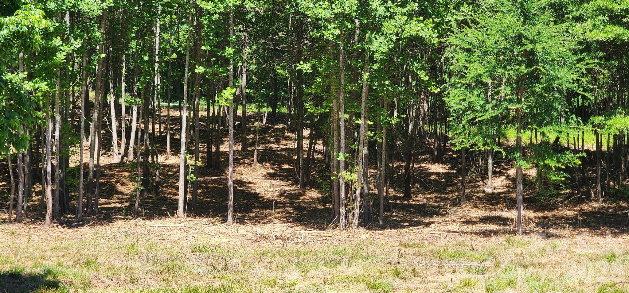 480 Brown Road Property Photo 36