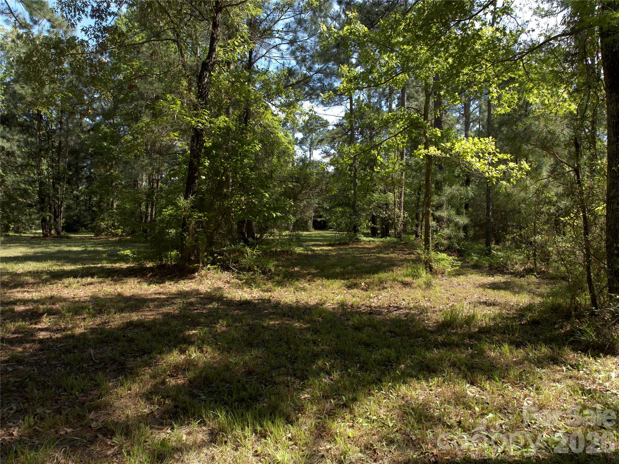 0 Bailey Pointe Drive 31 Property Photo 6