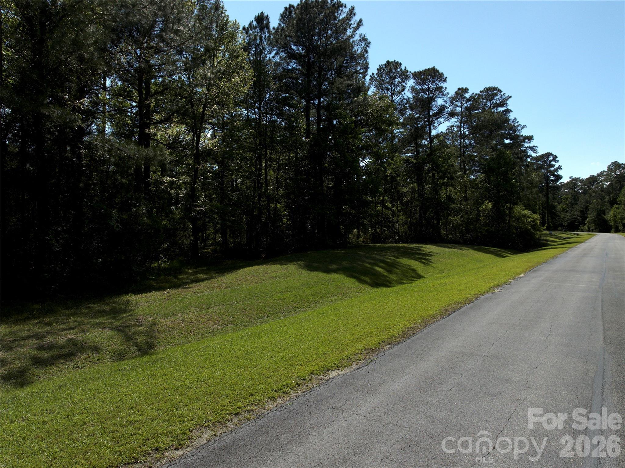 0 Bailey Pointe Drive 31 Property Photo 7