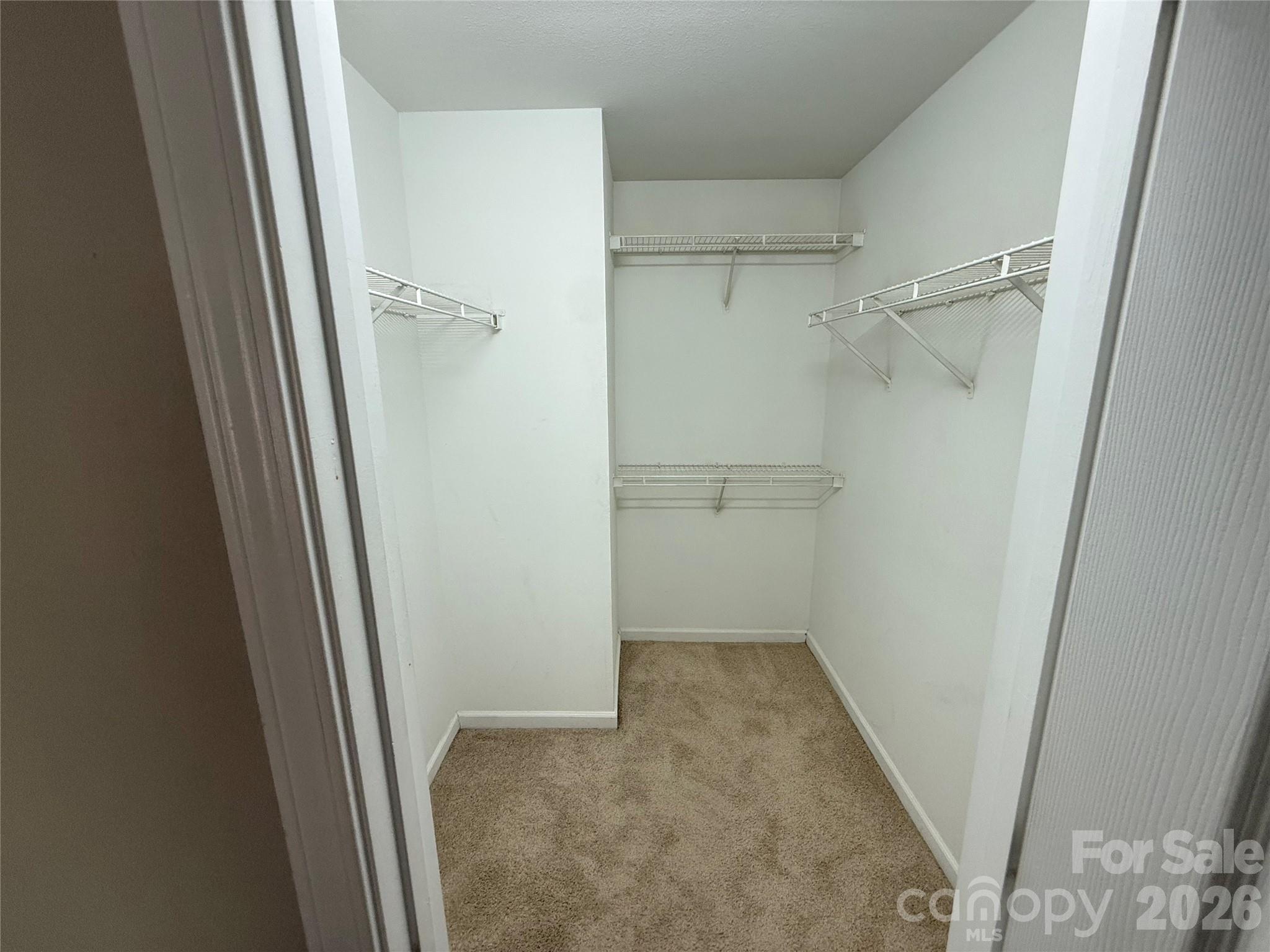 1063 Triece Lane Property Photo 19