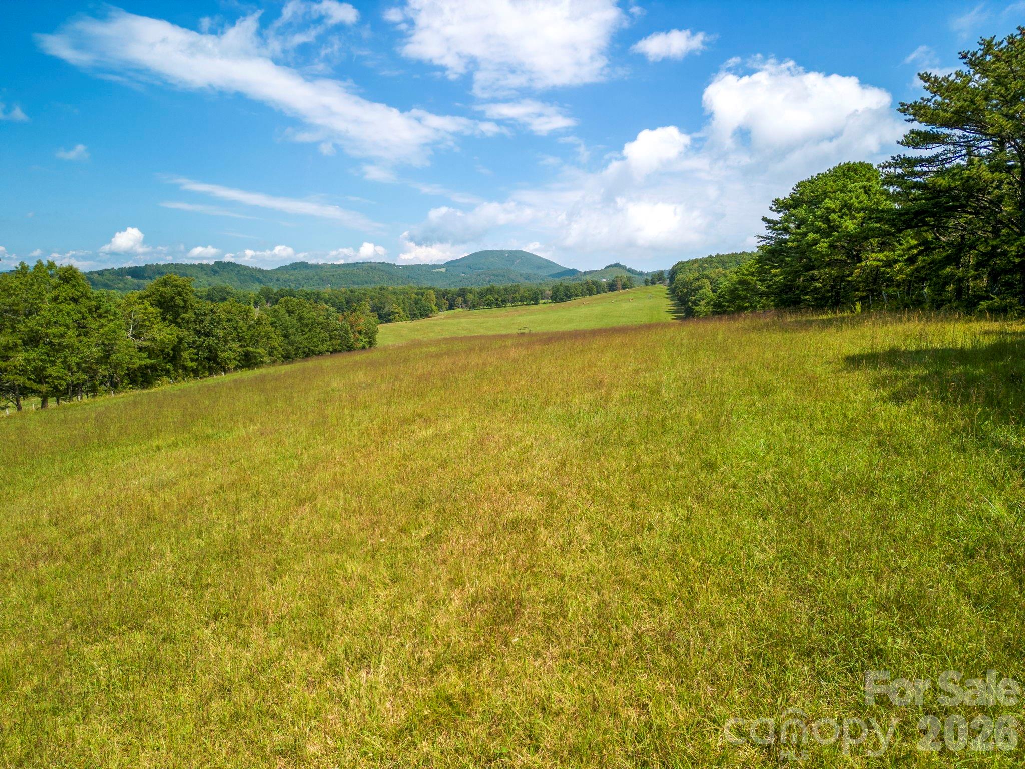 Tbd Summer Road 2 Property Photo 5