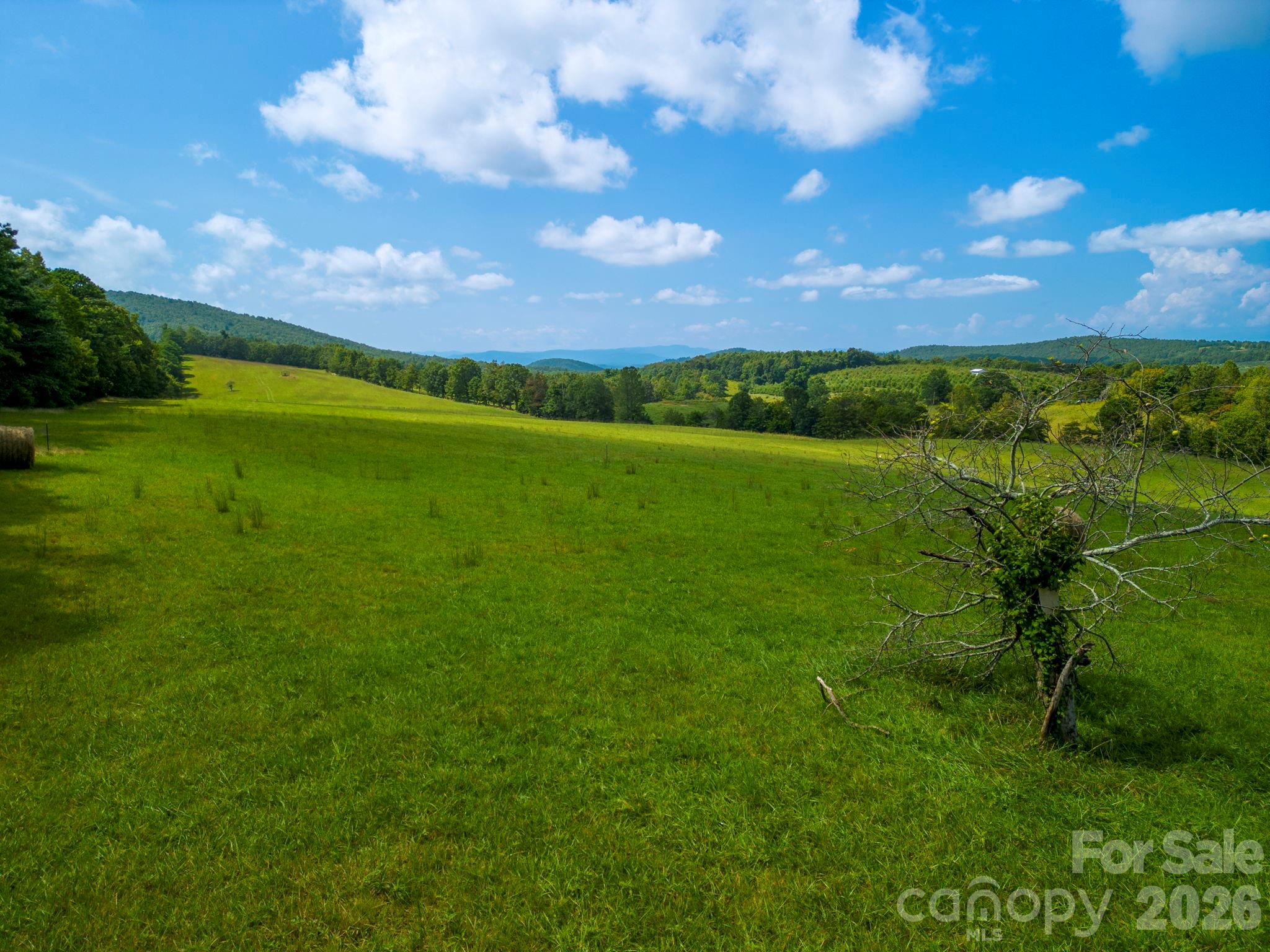 Tbd Summer Road 2 Property Photo 24