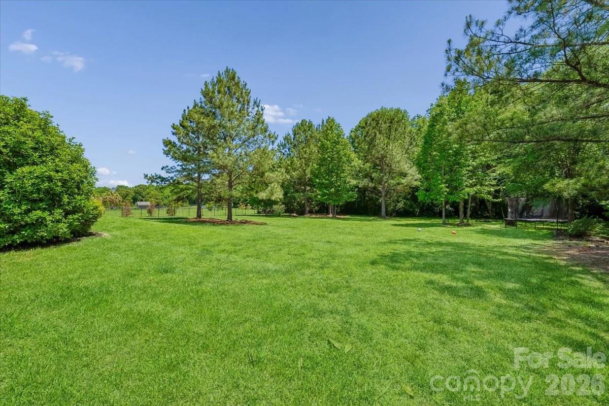 1006 Spring Rose Lane Property Photo 37