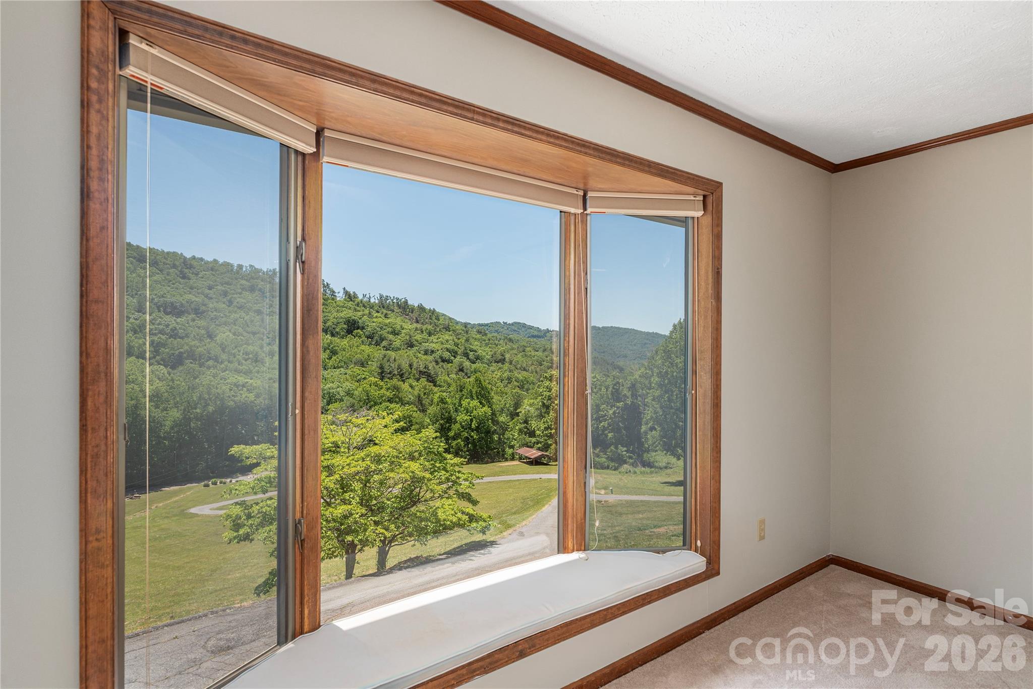 250 Lynn Cove Road Property Photo 19
