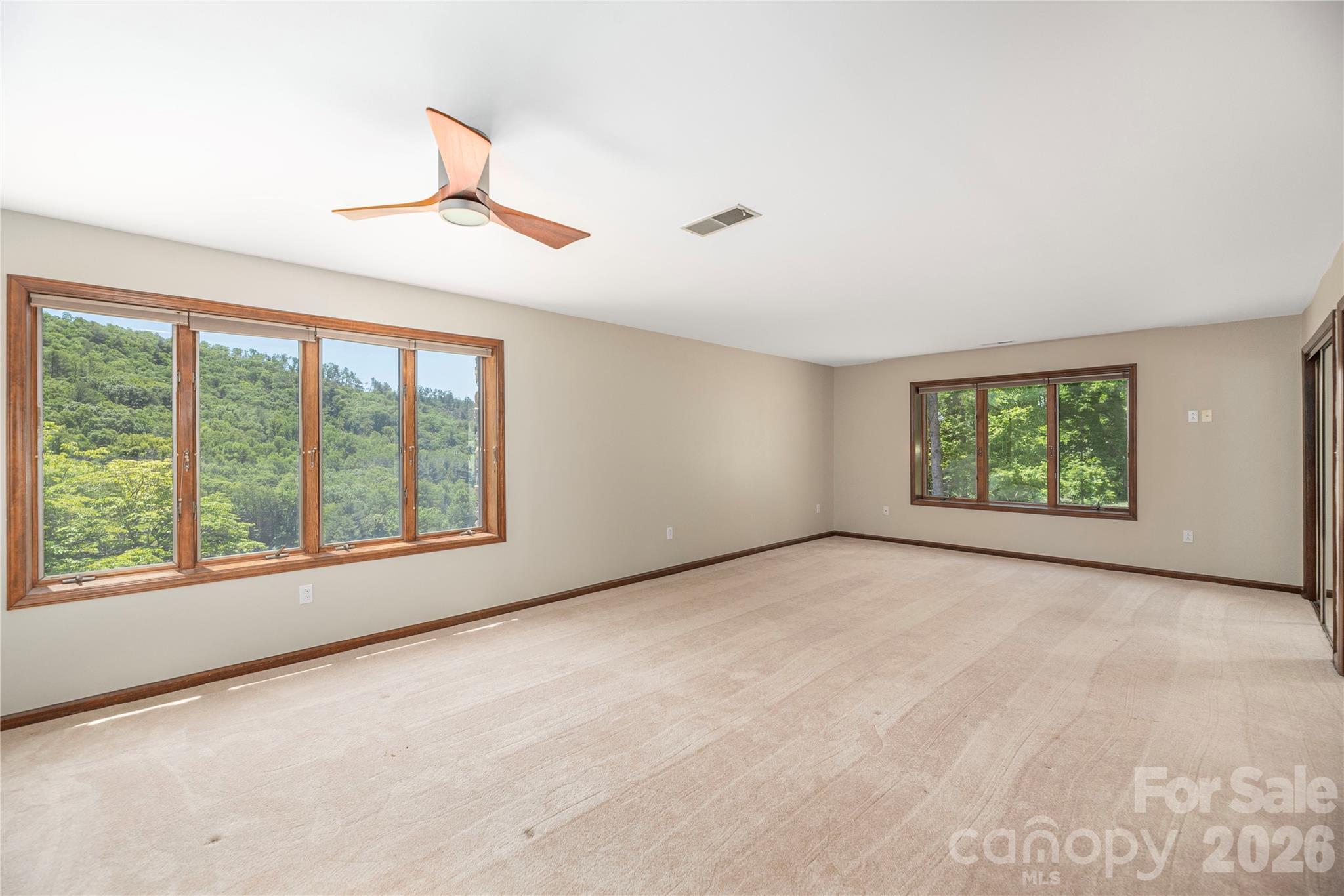 250 Lynn Cove Road Property Photo 22