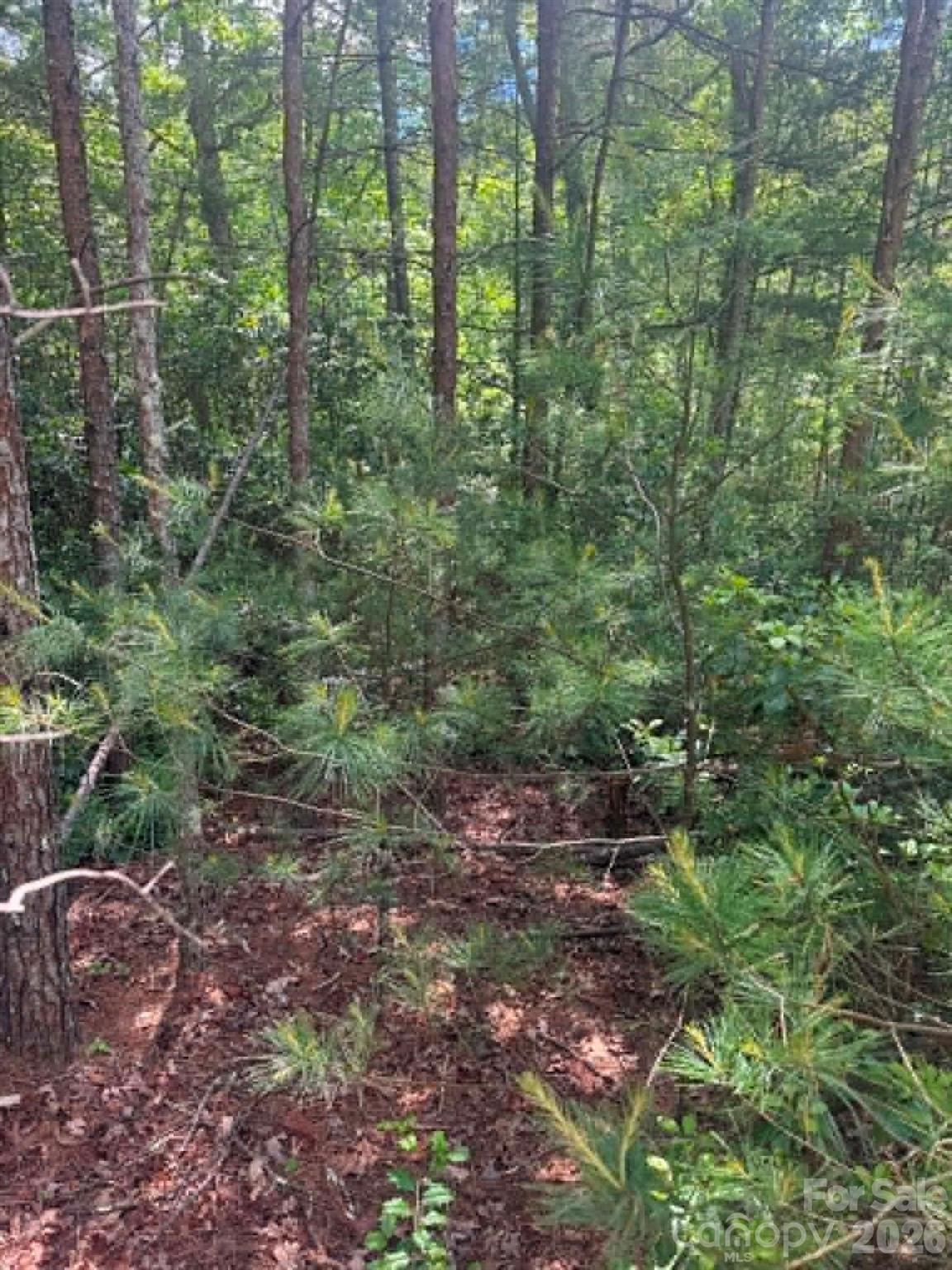 Lot 19 Fawn Lane Property Photo 7