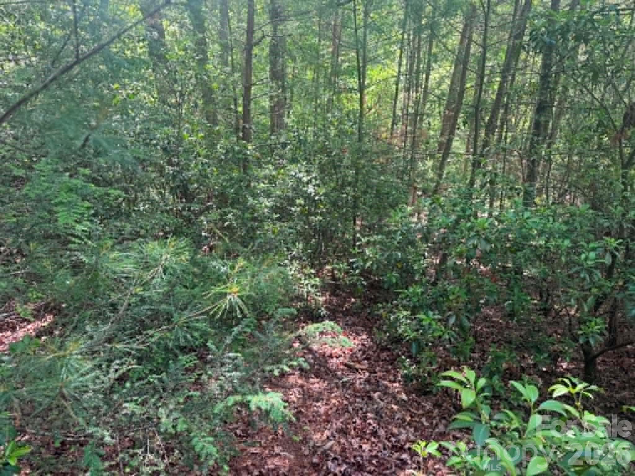Lot 19 Fawn Lane Property Photo 8