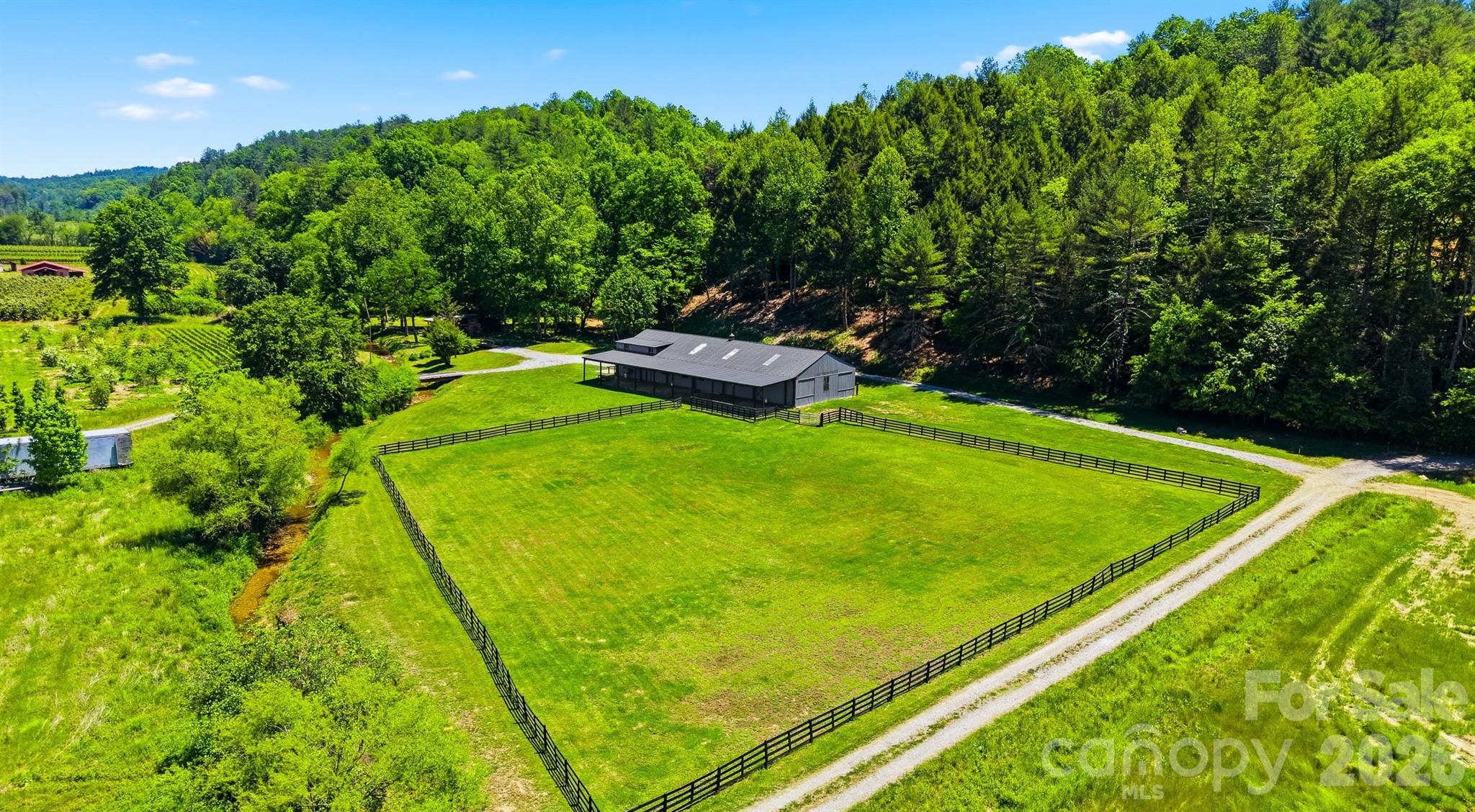 81 +/- Acres 2967 Roby Martin Road Property Photo 37