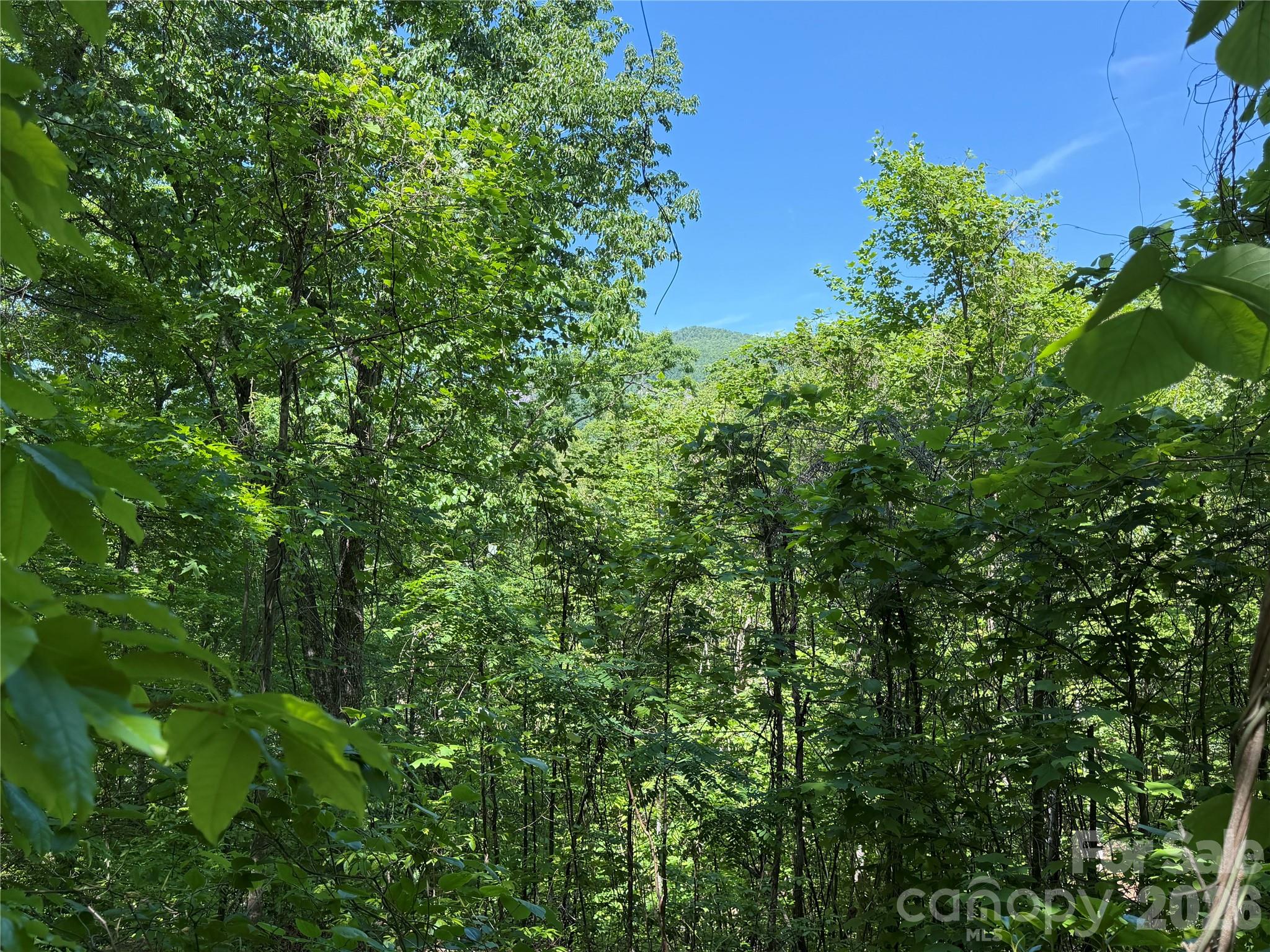 0 Buffalo Shoals Road 1 Property Photo 1