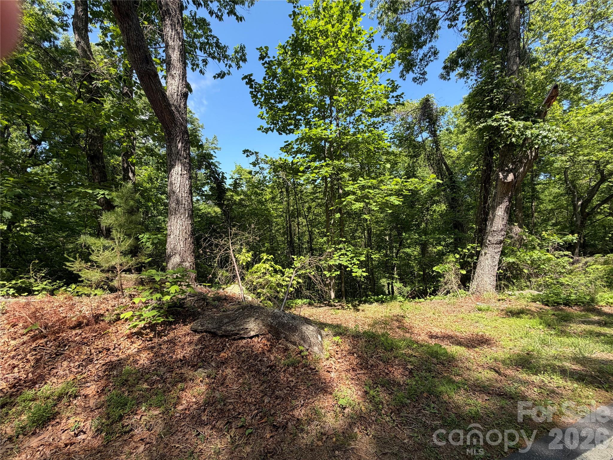 0 Buffalo Shoals Road 1 Property Photo 2