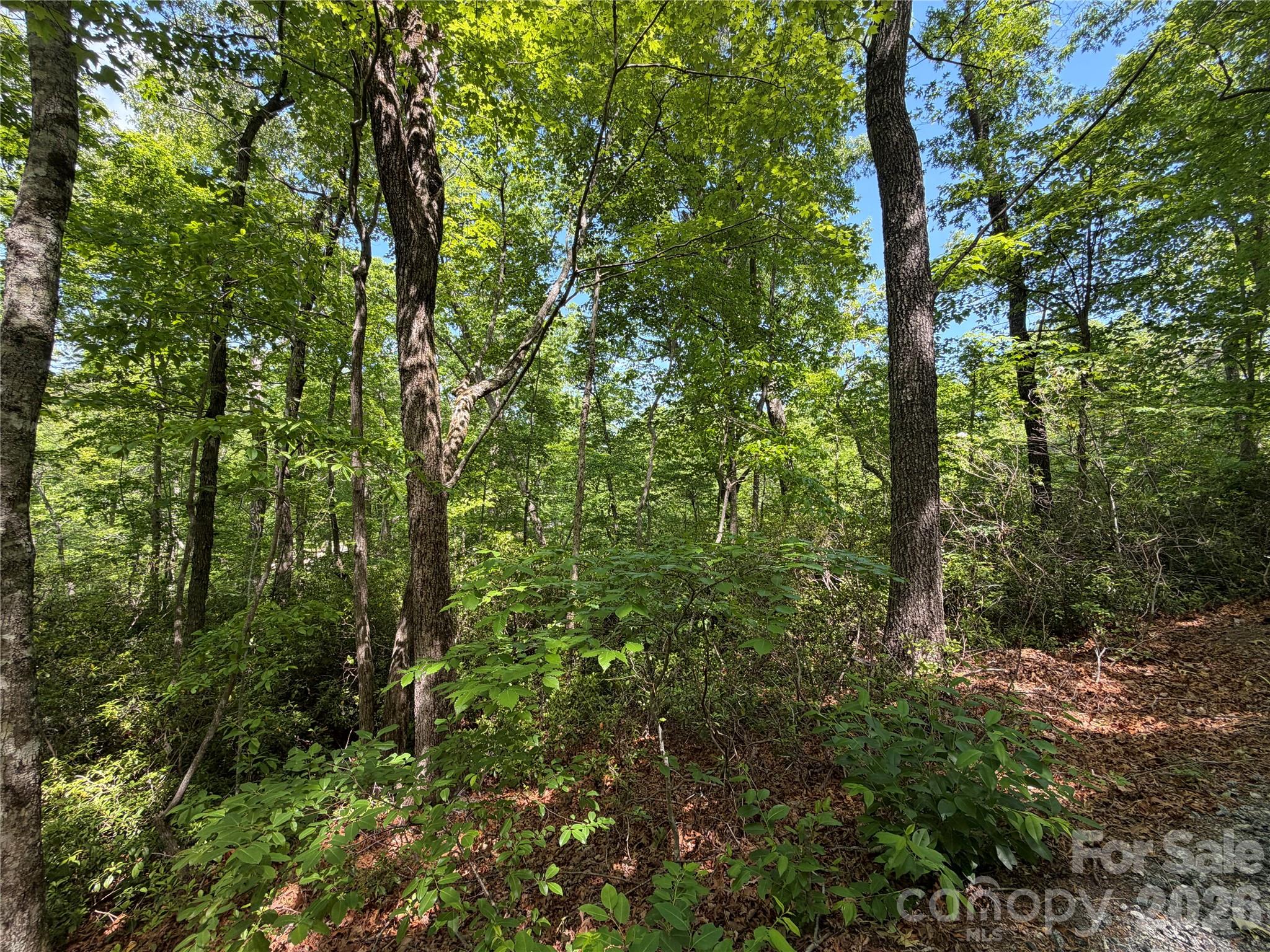 0 Buffalo Shoals Road 1 Property Photo 3
