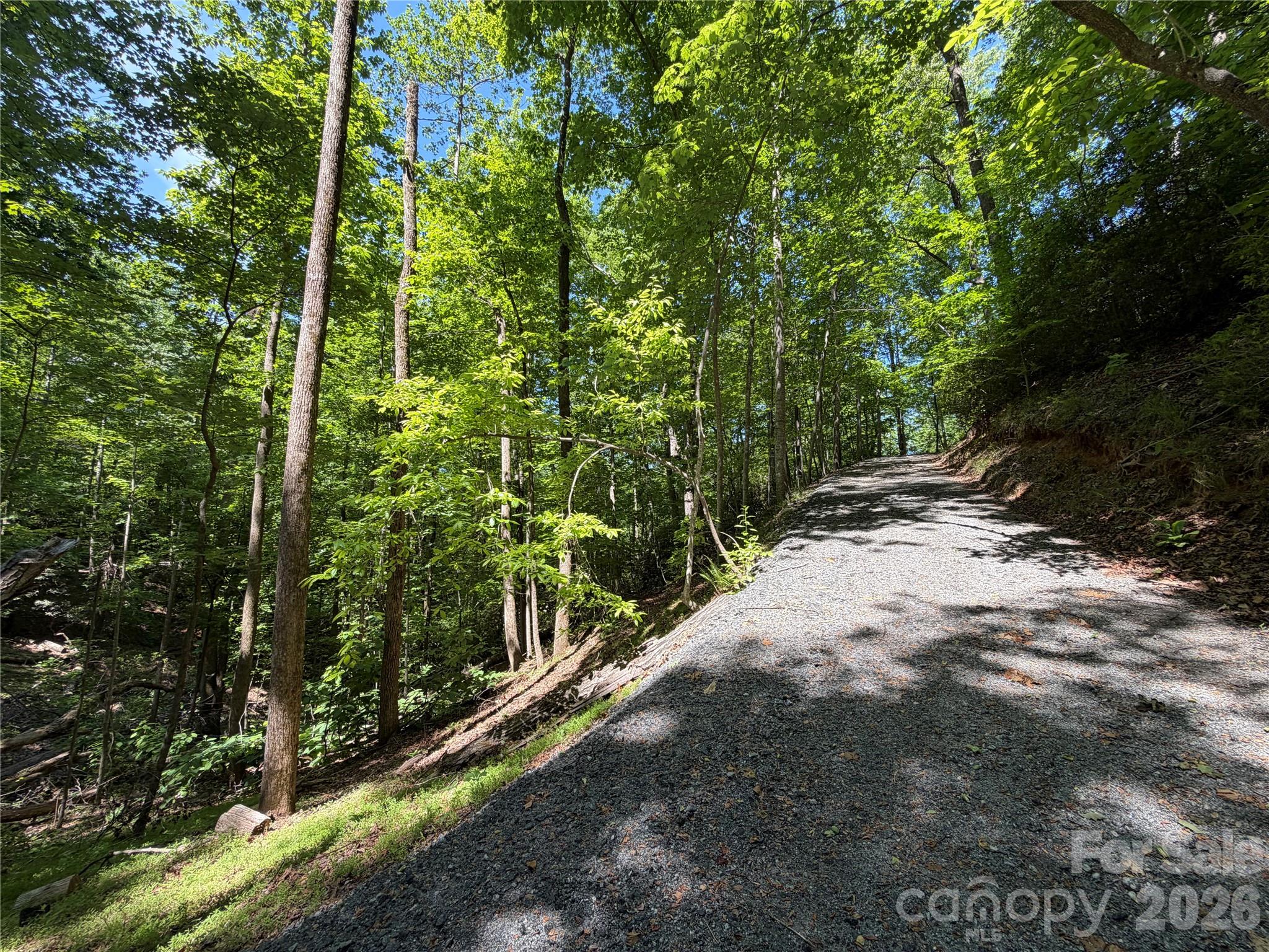 0 Buffalo Shoals Road 1 Property Photo 4