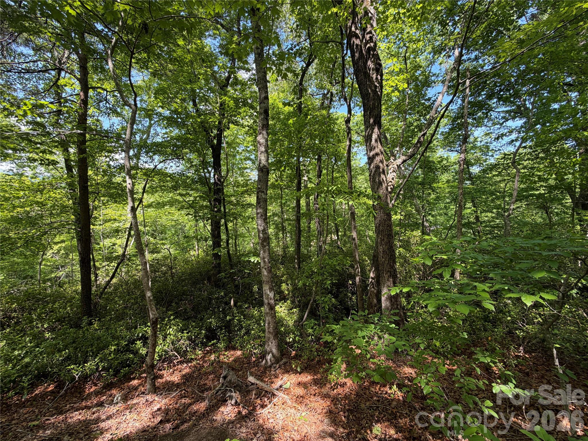 0 Buffalo Shoals Road 1 Property Photo 5