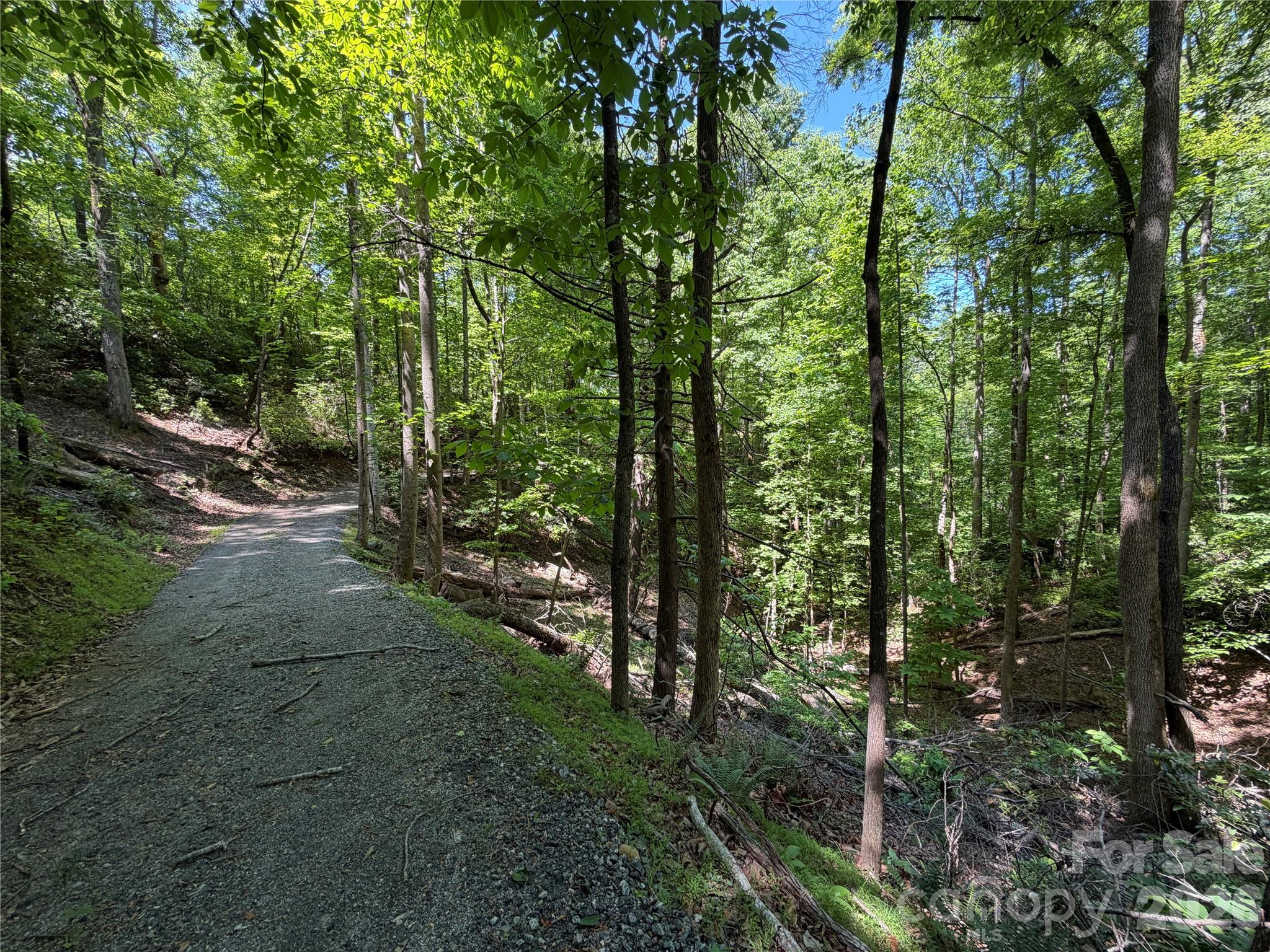 0 Buffalo Shoals Road 1 Property Photo 9