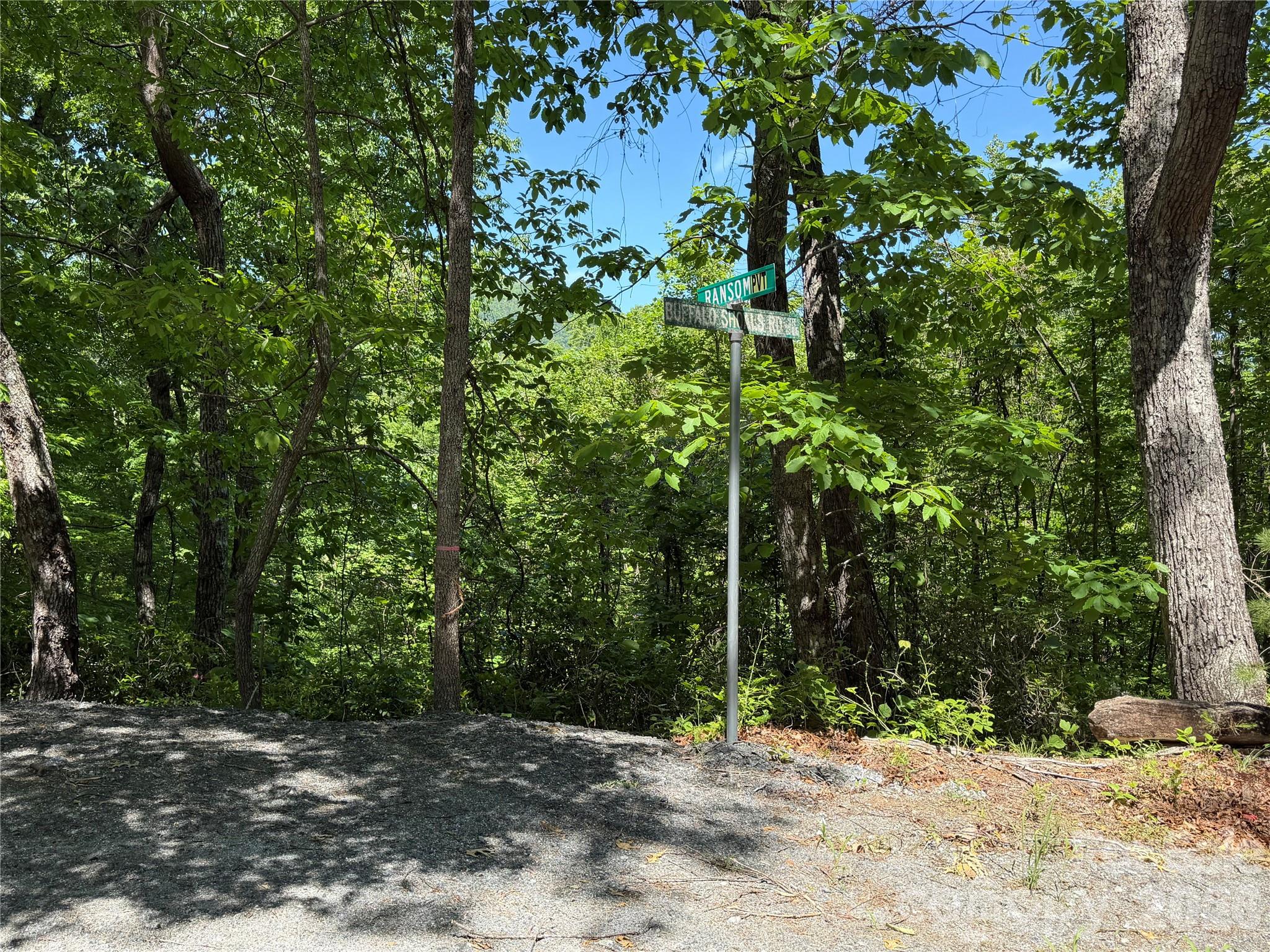 0 Buffalo Shoals Road 1 Property Photo 10