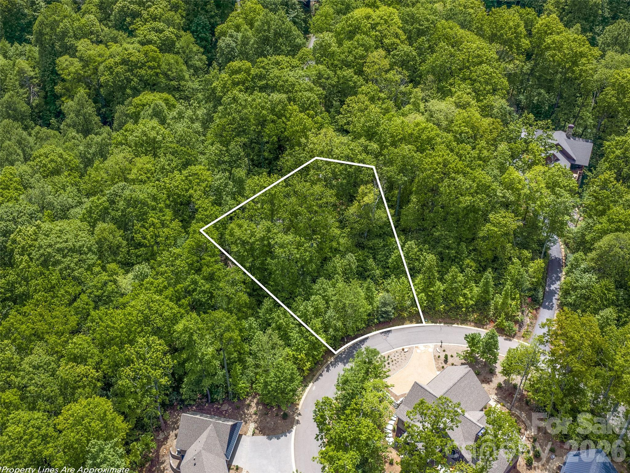 11 Crockett Ridge Road Property Photo 6