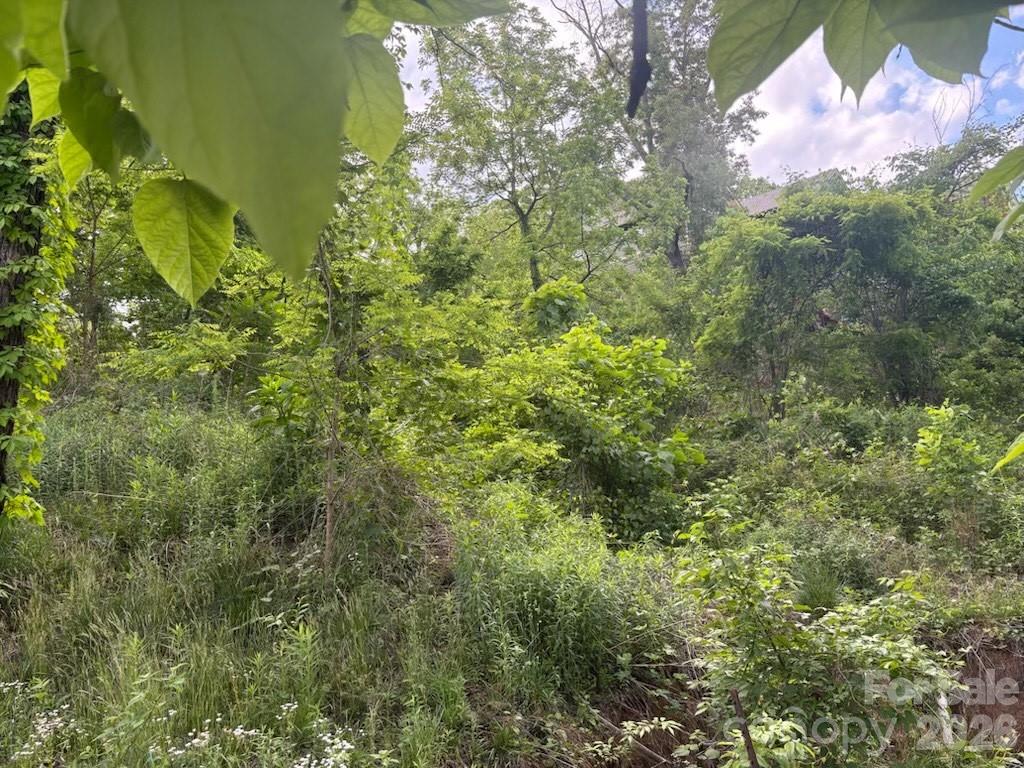 111 Waynesville Avenue Property Photo 6