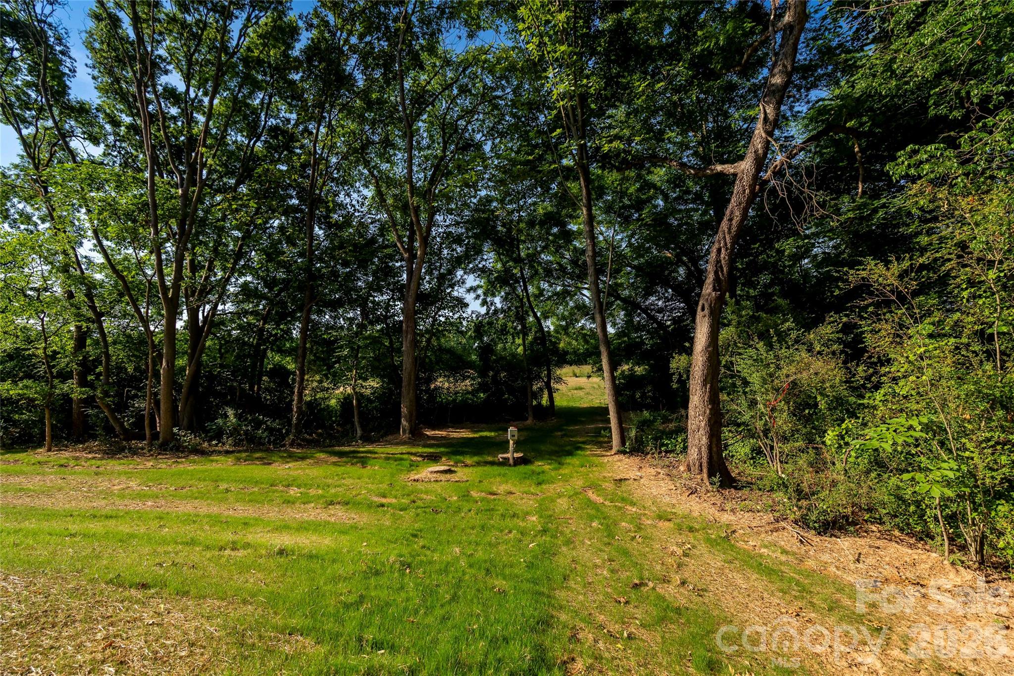 3004 Buffet Lane Property Photo 6