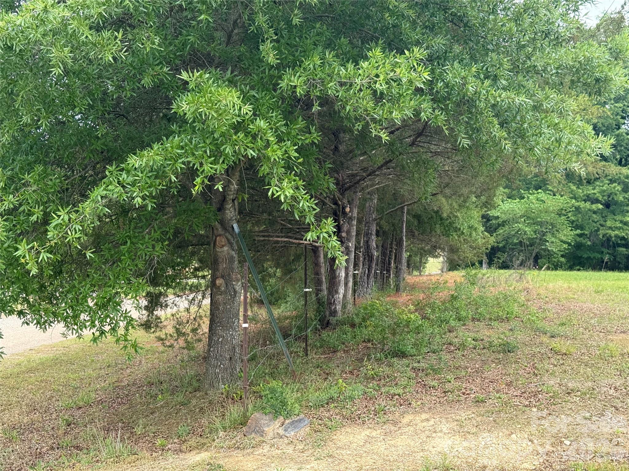 6713 Rebel Road 13a Property Photo 19