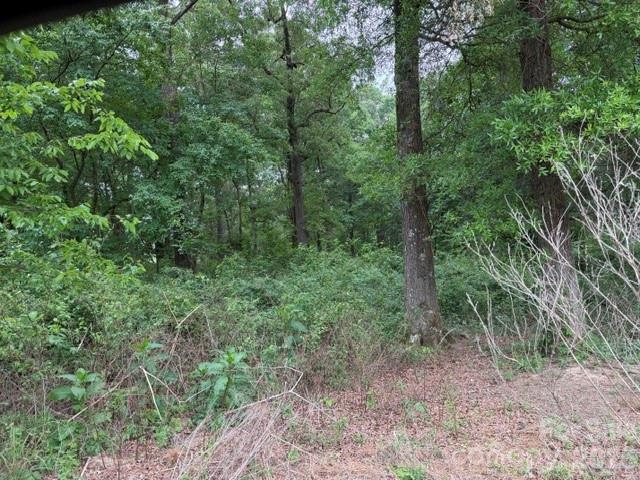 8838 Morgan Mill Road Property Photo 2