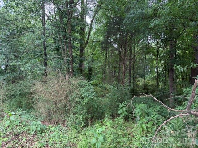 8838 Morgan Mill Road Property Photo 3