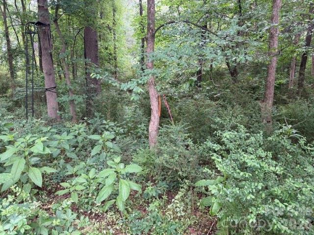 8838 Morgan Mill Road Property Photo 4