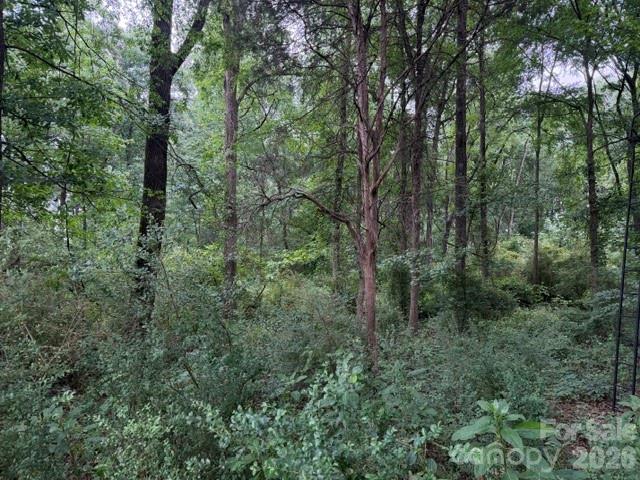 8838 Morgan Mill Road Property Photo 5