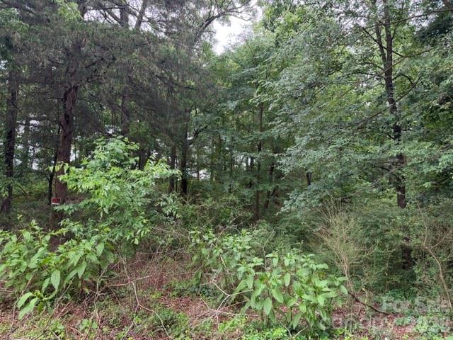 8838 Morgan Mill Road Property Photo 6