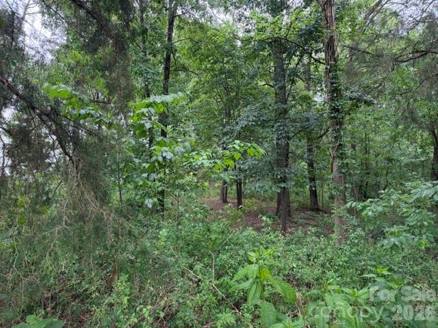 8838 Morgan Mill Road Property Photo 7