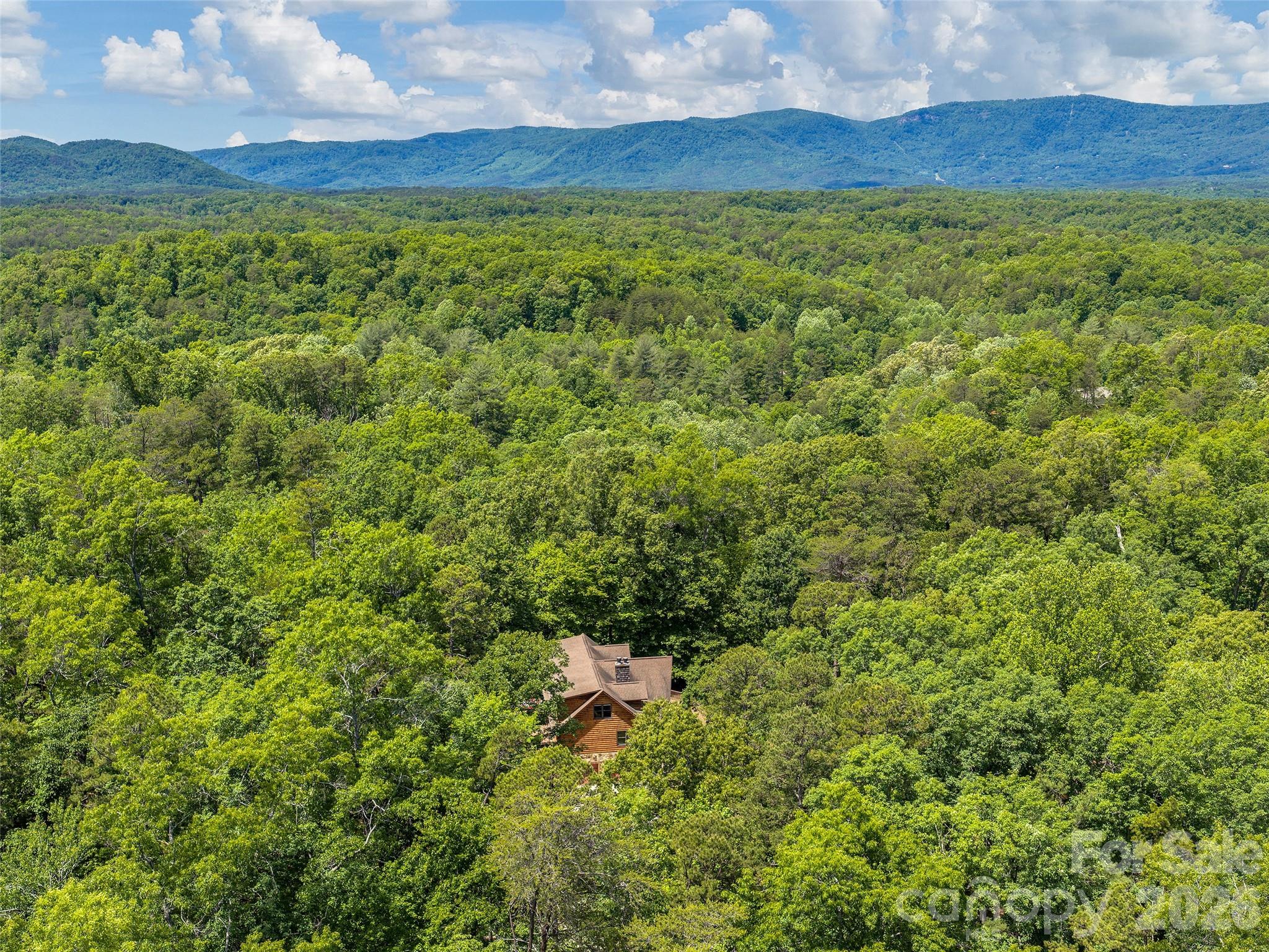 413 Green Hills Road Property Photo 47