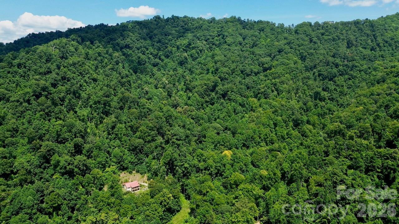 280 Kelses Valley Drive Property Photo 47
