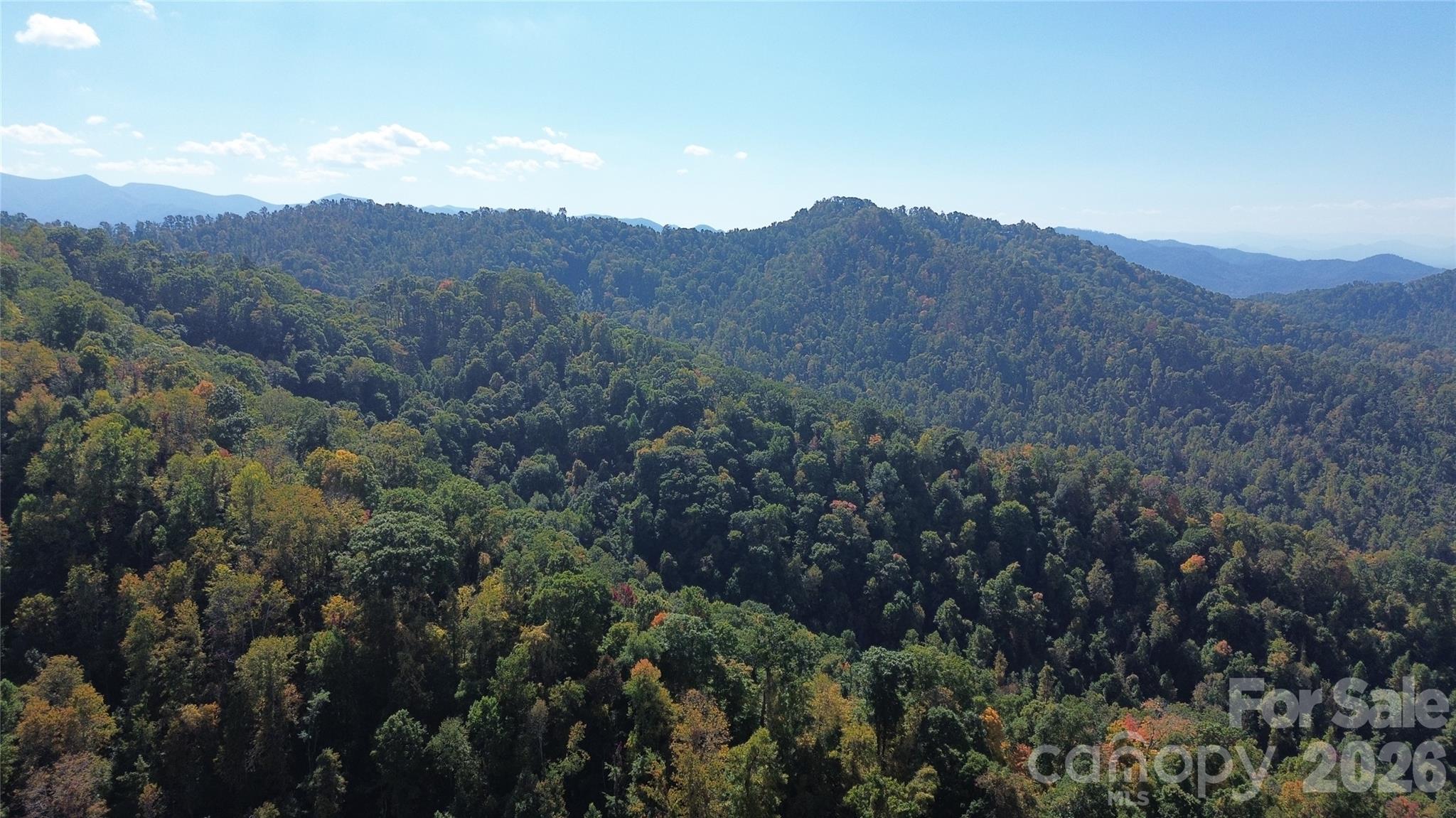 9999 Kelses Valley Drive Property Photo 6