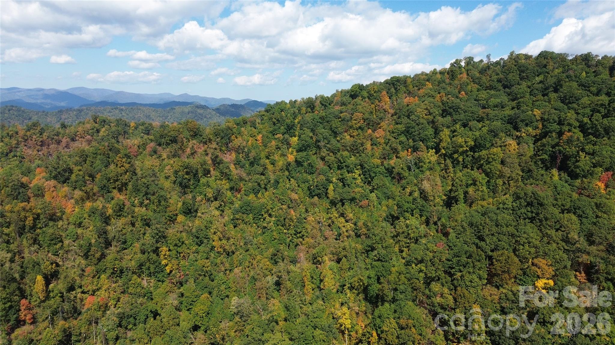 9999 Kelses Valley Drive Property Photo 8