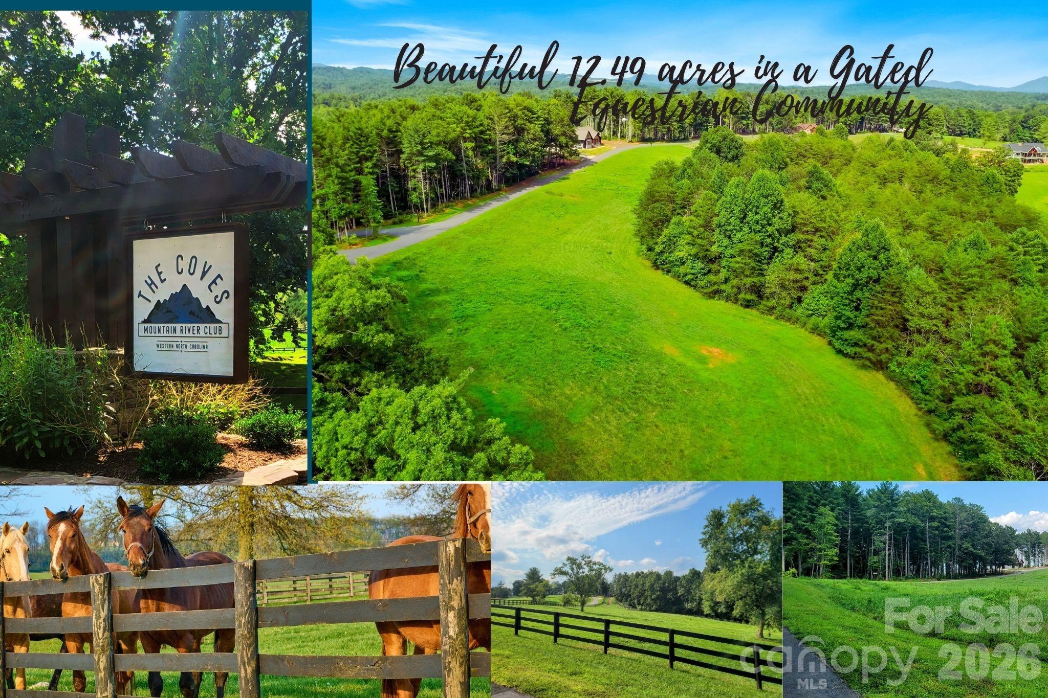 2093 Thoroughbred Way Property Photo 1