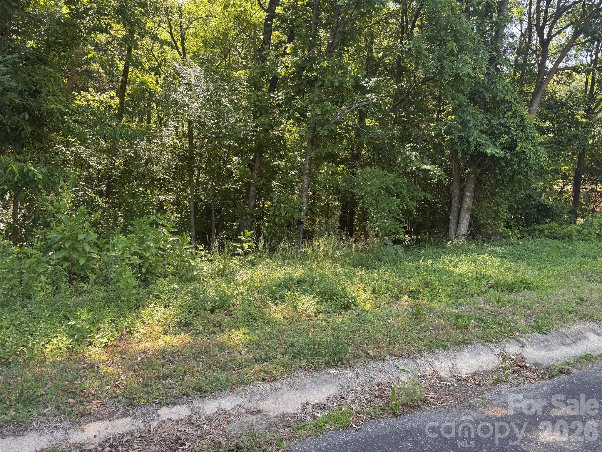 0 Tanglewood Drive Property Photo 1