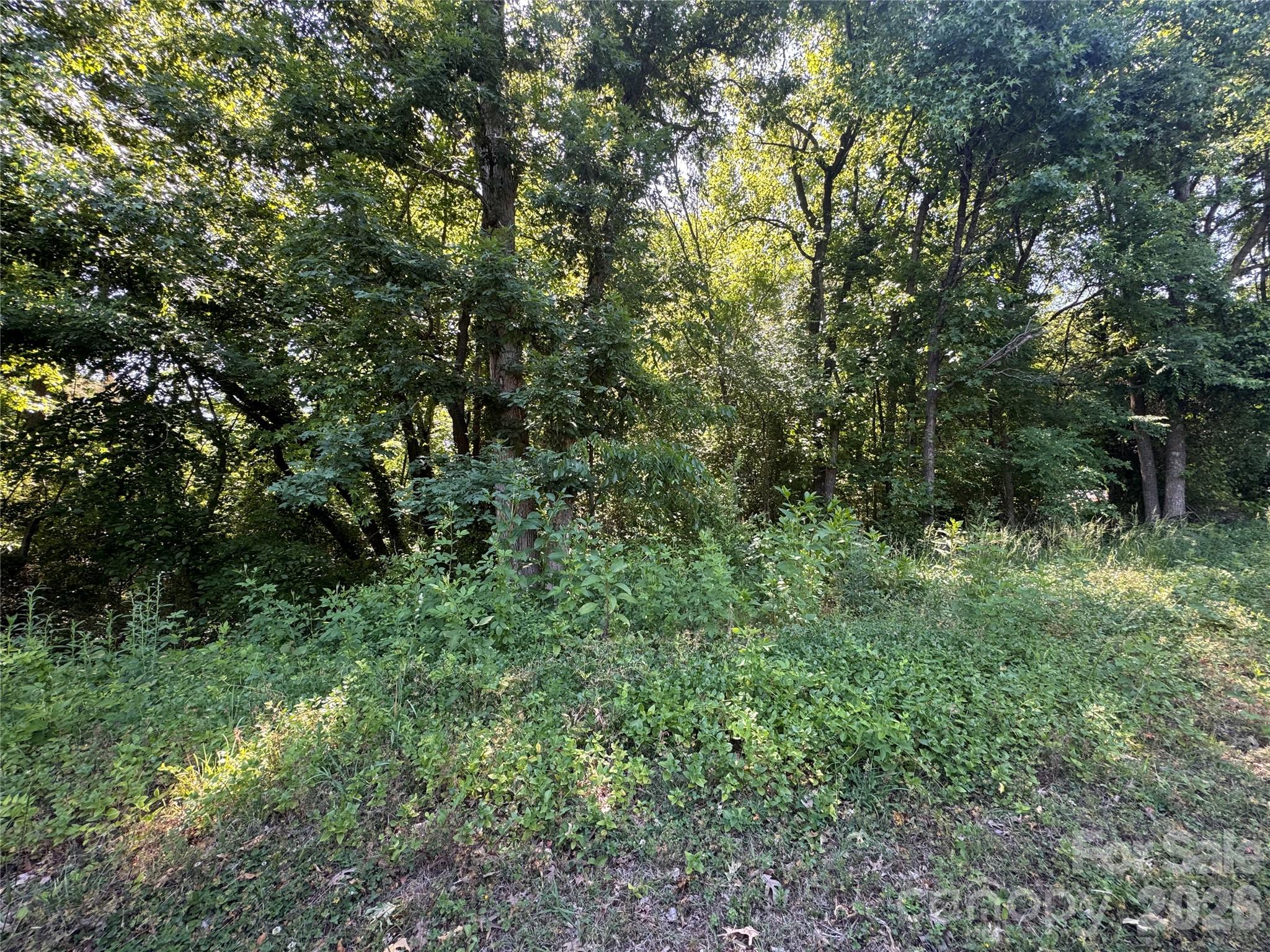 0 Tanglewood Drive Property Photo 2
