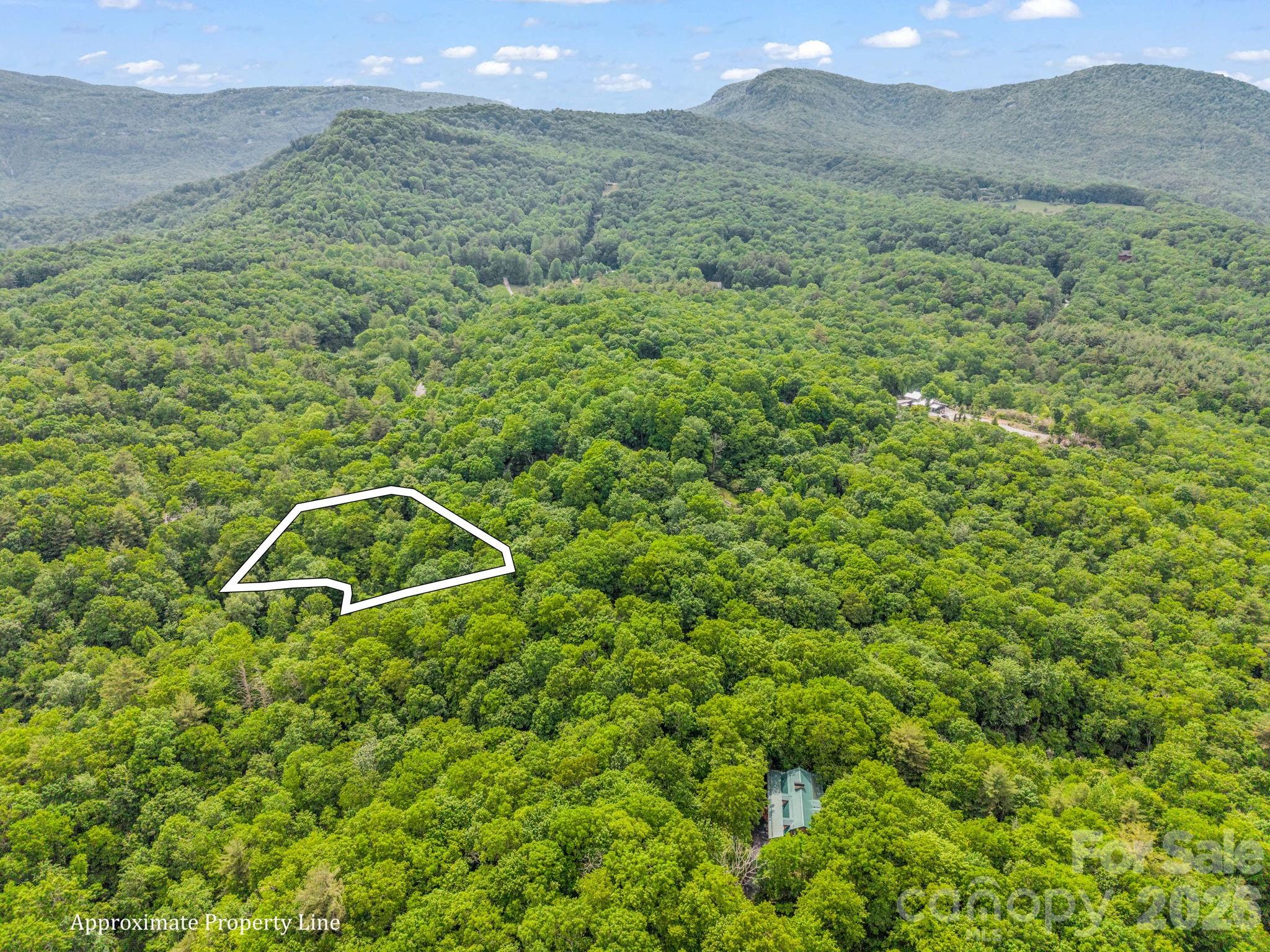 Tbd Toxaway Trail 14/3 Property Photo 1