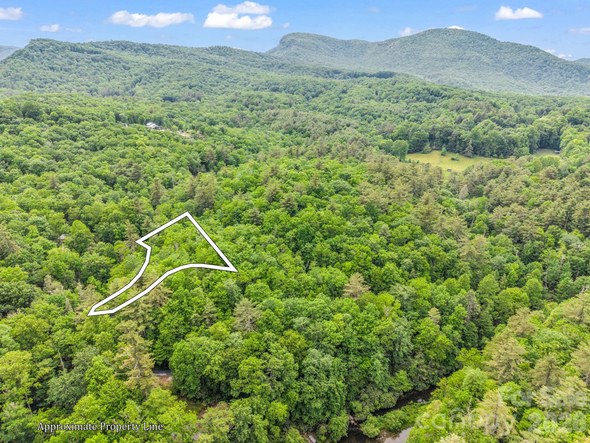 Tbd Toxaway Trail 14/3 Property Photo 8