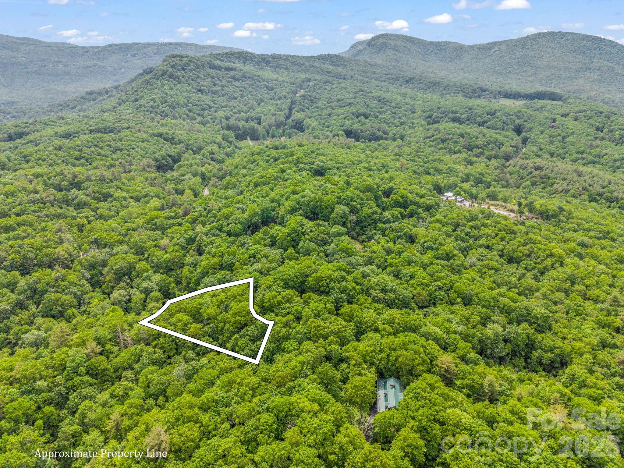 Tbd Toxaway Trail 14/3 Property Photo 15